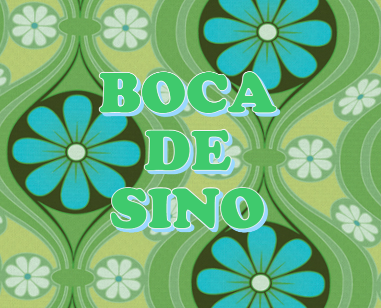 imagem do programa Boca de Sino