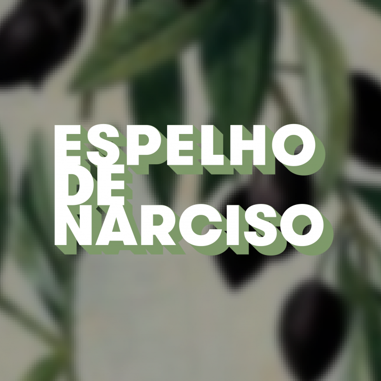 SQ_NARCISO-01