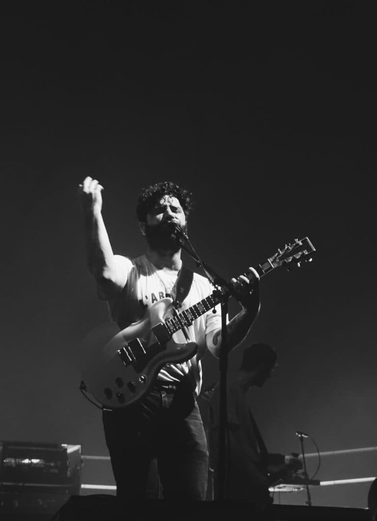 Foals