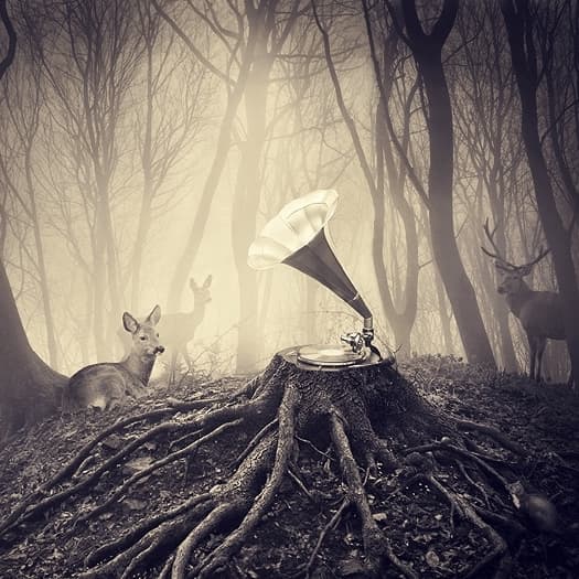 Deer+in+forest+with+record+player copy