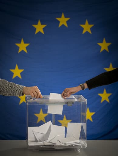 Vote, European Elections